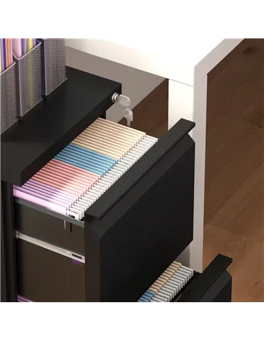 Vinsetto 2-Drawer Mobile Filing Cabinet, Steel Lockable File Cabinet for Letter, A4 and Legal Size, Pre-Assembled Body, Black
