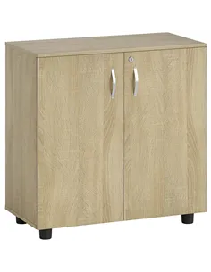 Vinsetto Two-Tier Locking Office Storage Cabinet - Oak