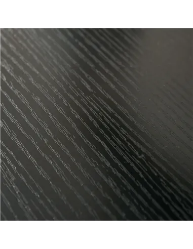 Vinsetto Dual Monitor Stand Riser with Adjustable Length and Angle, Screen Riser for Laptop, Computer, PC, Printer, TV, Black