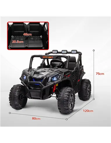 AIYAPLAY 24V 2 Seater Kids Electric Car with Remote Control, Suspension System,  Slow Start, 3 Speeds, for 3-8 Years, Black