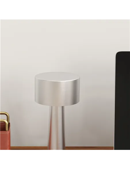2 Pack Cordless Table Lamp, Touch LED Desk Lamp with Rechargeable Battery, 3 Colour, for Bedroom Living Room, Silver