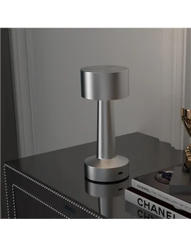 2 Pack Cordless Table Lamp, Touch LED Desk Lamp with Rechargeable Battery, 3 Colour, for Bedroom Living Room, Silver