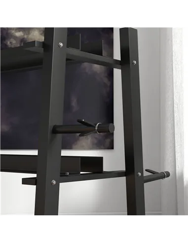 SPORTNOW 3-Tier Dumbbell Rack, Versatile Weight Rack with 4 Weight Rods for Dumbbells, Kettlebells and Plates (Rack Only)