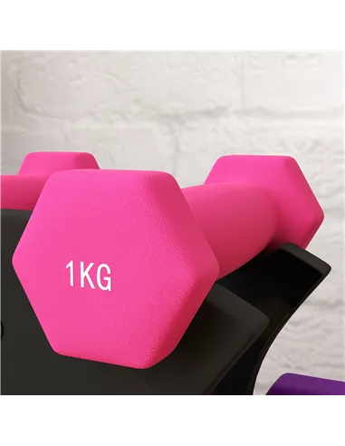 SPORTNOW 2 x 1kg, 2 x 2kg, 2 x 3kg Dumbbells Set with Dumbbell Rack, Hand Weights for Home Gym Training