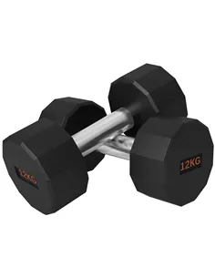 SPORTNOW Dumbbells Weights Set with 12-Sided Shape and Non-Slip Grip for Men Women Home Gym Workout, 2 x 12kg
