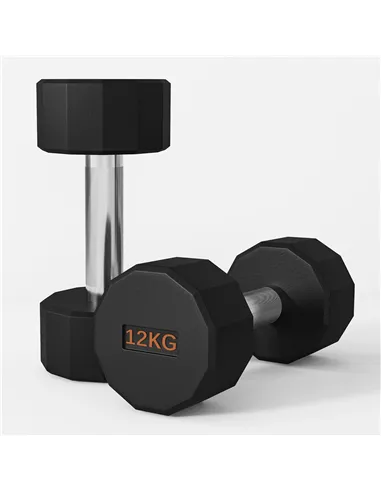 SPORTNOW Dumbbells Weights Set with 12-Sided Shape and Non-Slip Grip for Men Women Home Gym Workout, 2 x 12kg