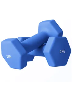 SPORTNOW 2 x 2kg Hexagonal Dumbbells Weights Set with Non-Slip Grip for Home Gym Workout, Blue
