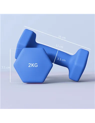 SPORTNOW 2 x 2kg Hexagonal Dumbbells Weights Set with Non-Slip Grip for Home Gym Workout, Blue