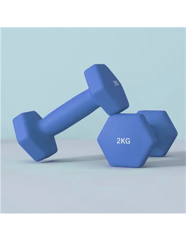 SPORTNOW 2 x 2kg Hexagonal Dumbbells Weights Set with Non-Slip Grip for Home Gym Workout, Blue