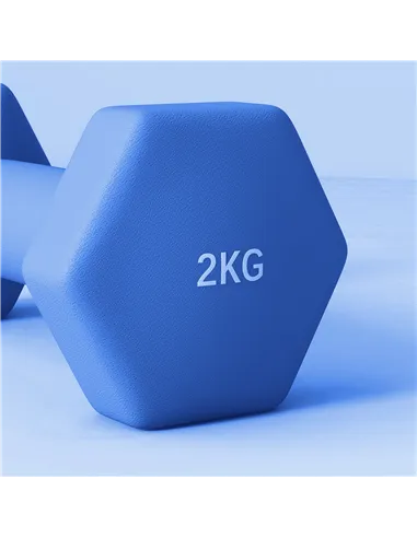 SPORTNOW 2 x 2kg Hexagonal Dumbbells Weights Set with Non-Slip Grip for Home Gym Workout, Blue