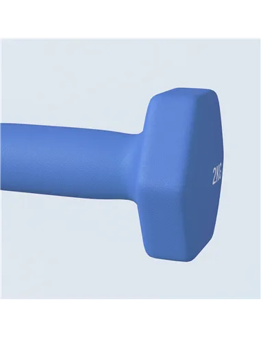 SPORTNOW 2 x 2kg Hexagonal Dumbbells Weights Set with Non-Slip Grip for Home Gym Workout, Blue