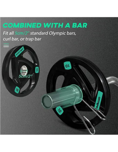 SPORTNOW Two 10kg Olympic Weight Plates, Tri-Grip Rubber-Coated Barbell Weights, with 5cm Holes, for Home, Gym, Office