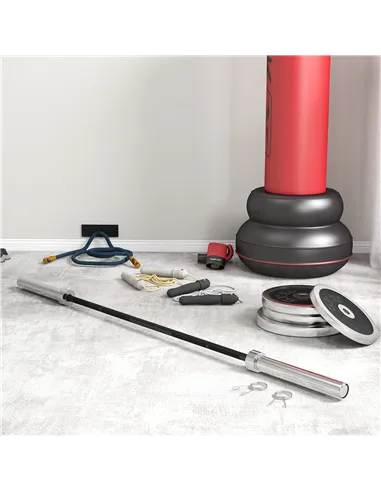 SPORTNOW 210cm Olympic Barbell Bar for 5cm Weight Plates, with Spring Clips, 19kg