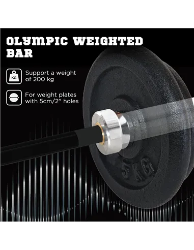 SPORTNOW 210cm Olympic Barbell Bar for 5cm Weight Plates, with Spring Clips, 19kg