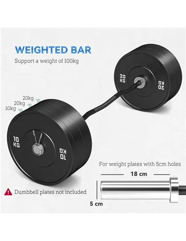 SPORTNOW 120cm EZ Barbell Bar for 5cm Weight Plates, with Spring Clips, 8kg