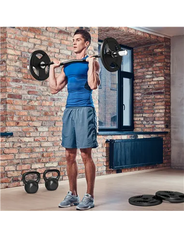 SPORTNOW 120cm EZ Barbell Bar for 5cm Weight Plates, with Spring Clips, 8kg