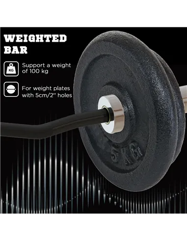 SPORTNOW 120cm Curl Bar and Barbell Set, Barbell Bar for 5cm Weight Plates for Loading 200kg Weight Plates, for Home Gym Weight 