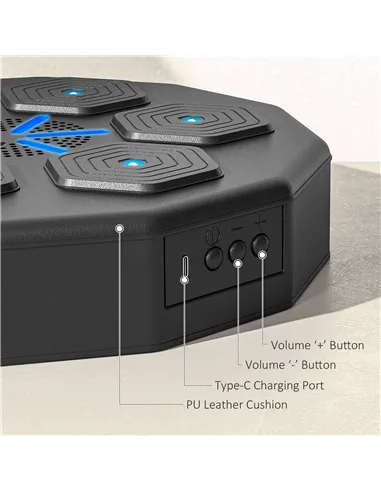 SPORTNOW Music Boxing Machine with Bluetooth Connection and LED Light Smart, Wall Mounted for Punching Beat Boxing Training