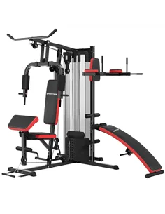 SPORTNOW Multi Gym Workout Station, Weight Machine with 65kg Weight Stack, Sit Up Bench, Push Up Stand, Dip Station