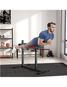 SPORTNOW Back Extension Roman Chair, Hyperextension Bench with Adjustable Leg Roller for Back, Abdominal and Gluteal Training 2