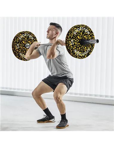 SPORTNOW Olympic Weight Plates with 5cm Holes, for Weight Lifting, 2 x 15KG