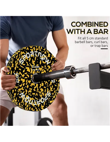 SPORTNOW Olympic Weight Plates with 5cm Holes, for Weight Lifting, 2 x 15KG