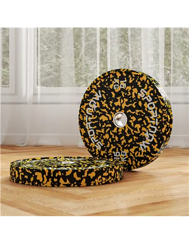 SPORTNOW Olympic Weight Plates with 5cm Holes, for Weight Lifting, 2 x 15KG