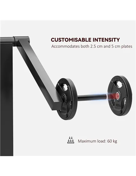 SPORTNOW Adjustable Preacher Curl Bench, Multi-Functional Weight Bench with Handlebar and Elbow Cushion for Home and Outdoor Gym