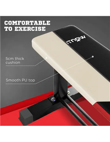 SPORTNOW Flat Weight Bench, 300KG Weight Capacity Workout Bench with Dumbbell Rack