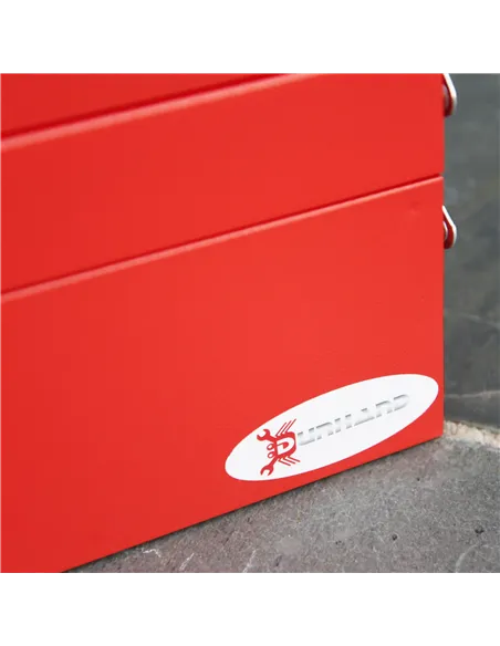 DURHAND Metal Tool Box 3 Tier 5 Tray Professional Portable Storage Cabinet Workshop Cantilever Toolbox with Carry Handle, 56cmx2