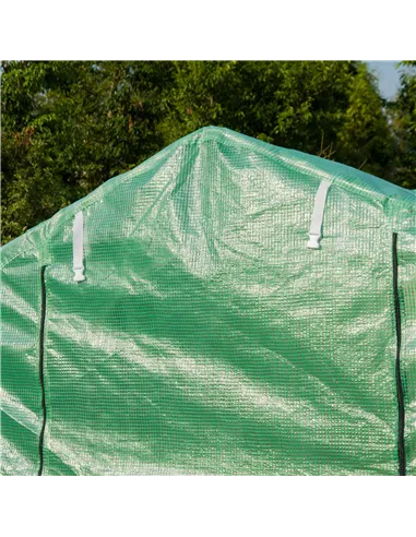Outsunny Polytunnel Greenhouse with Windows and Door, Walk in Greenhouse for Garden, Backyard (4 x 2 M)