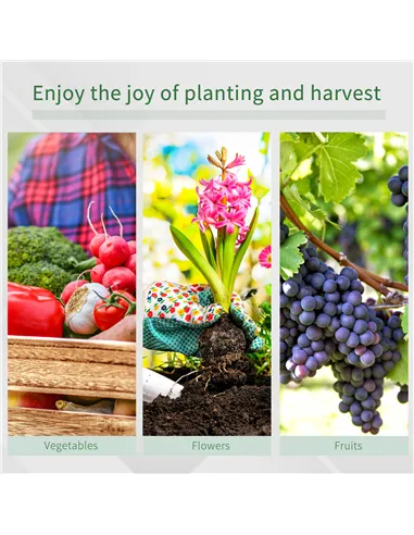 Outsunny Polytunnel Greenhouse with Windows and Door, Walk in Greenhouse for Garden, Backyard (3 x 2 M)