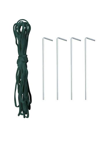 Outsunny Polytunnel Greenhouse with Windows and Door, Walk in Greenhouse for Garden, Backyard (3 x 2 M)