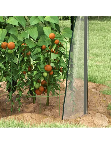 Outsunny Mini Greenhouse, Garden Tomato Growhouse with 2 Zipped Doors, Portable Indoor Outdoor Green House, 90 x 90 x 145cm, Cle