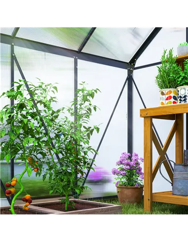 Outsunny 190 x 190cm Walk-In Polycarbonate Greenhouse