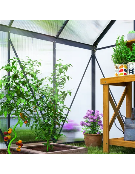Outsunny 190 x 190cm Walk-In Polycarbonate Greenhouse