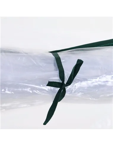 Outsunny Set of 2 Tunnel Greenhouse, Green Grow House with Roll-up Door, Steel Frame, Plastic Cover for Garden, Outdoor, 250 x 1