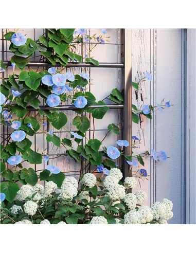 Outsunny Raised Bed for Garden with Trellis, Galvanised Planter Box with Diamond Pattern, Drainage Holes for Vegetables, Herbs a