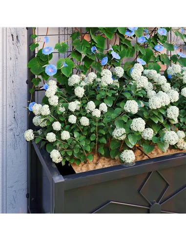 Outsunny Raised Bed for Garden with Trellis, Galvanised Planter Box with Diamond Pattern, Drainage Holes for Vegetables, Herbs a