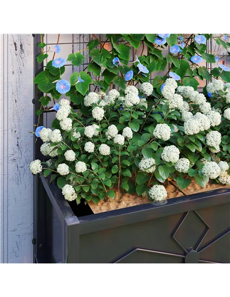 Outsunny Raised Bed for Garden with Trellis, Galvanised Planter Box with Diamond Pattern, Drainage Holes for Vegetables, Herbs a