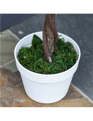 Outsunny Artificial Plants White Rose Floral in Pot, Fake Plants for Home Indoor Decor, 90cm