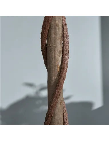 Outsunny Artificial Bay Laurel Topiary Trees w/ Pot Fake, Set Of 2 120cm/4FT Indoor Greenery Plant Home Office Garden Decor Gree