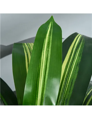 Outsunny Set of Two Artificial Dracaena Plants