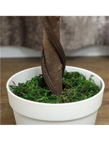 Outsunny Set of Two Faux Rose Trees - Green