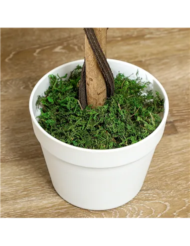 Outsunny Set of 2 Artificial Plants White Rose Floral in Pot, Fake Plants for Home Indoor Decor, 90cm, Yellow