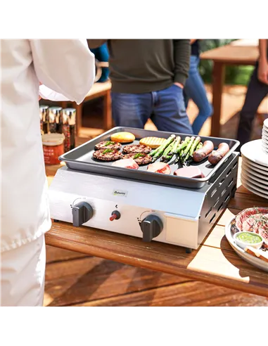 Outsunny Two Burner Portable Gas Grill