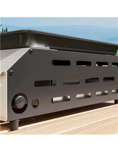 Outsunny Two Burner Portable Gas Grill