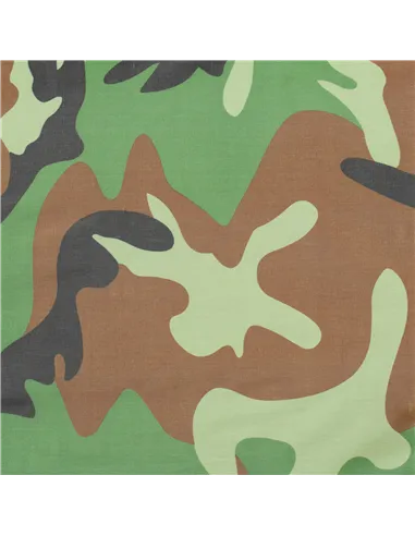 Outsunny 2 Person Camping Tent, Dome Tent with Zipped Doors, Storage Pocket, Portable Handy Bag, Multicoloured