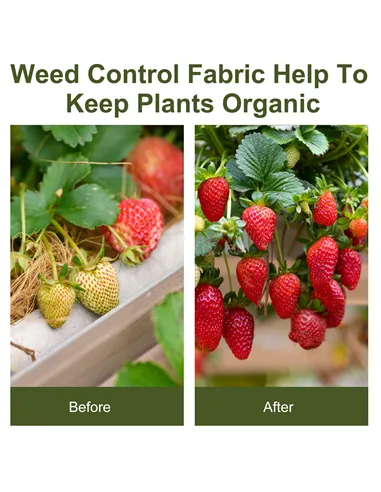 Outsunny 2m x 50m Weed Control Membrane, Heavy Duty Weed Control Barrier Fabric, 90gsm Ground Cover for Patios, Garden, Flower b