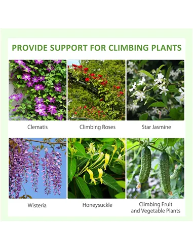 Outsunny Metal Trellis Set of 2, Garden Trellis for Climbing Plants Support Frames, Floral Design